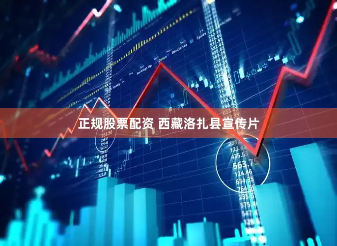 正规股票配资 西藏洛扎县宣传片
