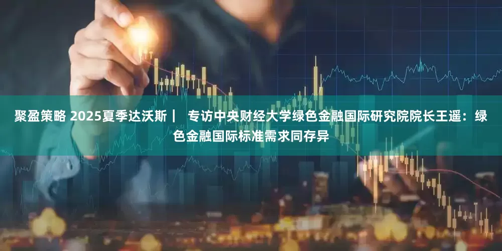 聚盈策略 2025夏季达沃斯｜  专访中央财经大学绿色金融国际研究院院长王遥：绿色金融国际标准需求同存异