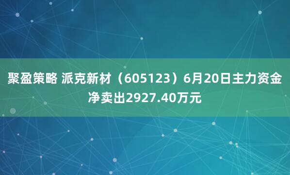 聚盈策略 派克新材（605123）6月20日主力资金净卖出2927.40万元