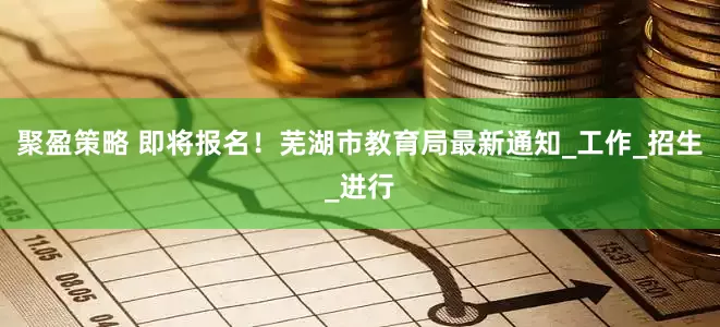 聚盈策略 即将报名！芜湖市教育局最新通知_工作_招生_进行
