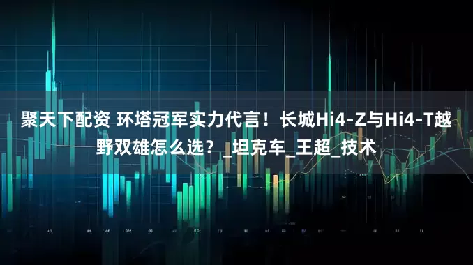 聚天下配资 环塔冠军实力代言！长城Hi4-Z与Hi4-T越野双雄怎么选？_坦克车_王超_技术