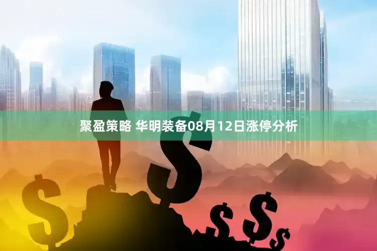 聚盈策略 华明装备08月12日涨停分析