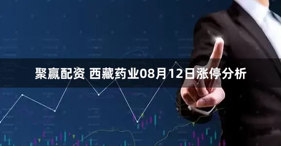 聚赢配资 西藏药业08月12日涨停分析